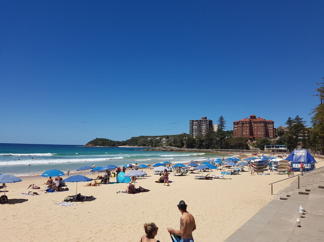 Manly Beach Hire-曼利议会必去景点