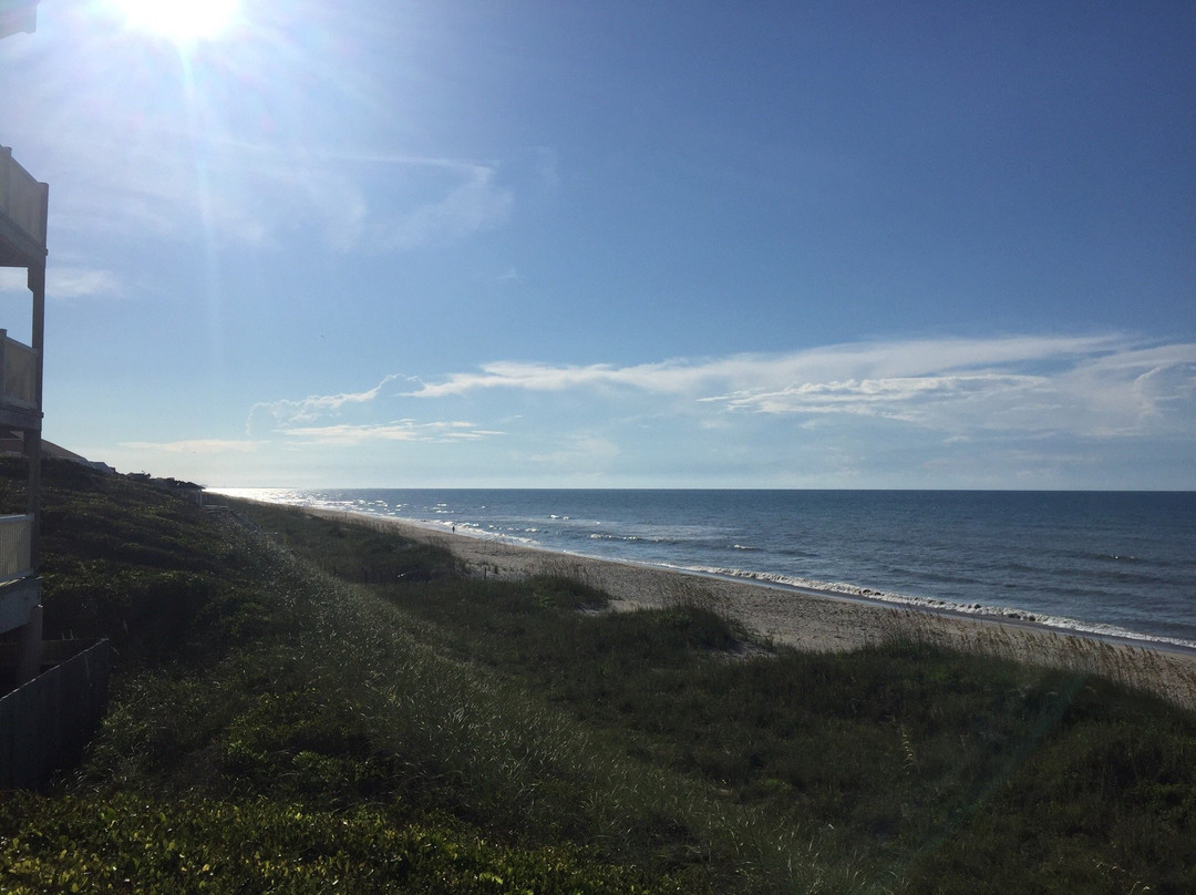 Colony By The Sea