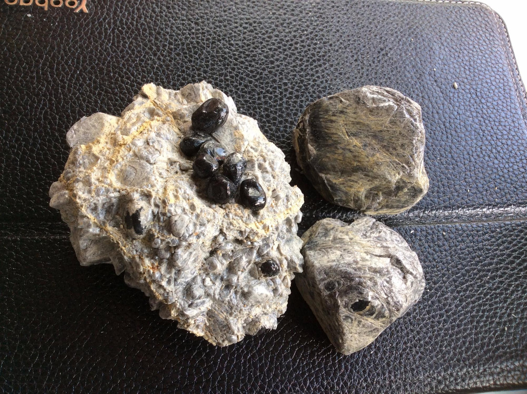 YUKI HAYAMA STUDIO GALLERY＆cafe516