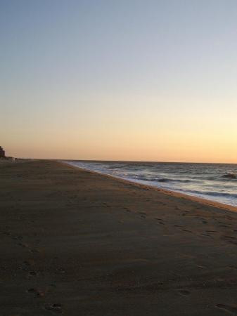 洋城海滩-大洋城必去景点