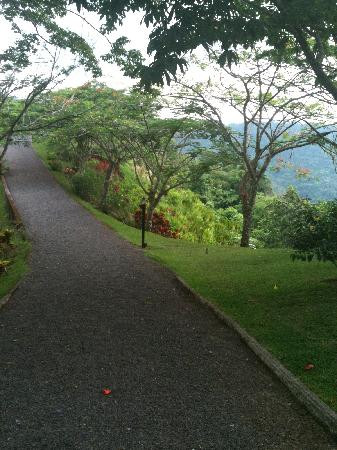 Pura Vida Gardens and Waterfalls-哈科必去景点