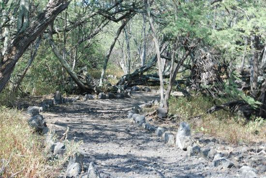 Kaloko-Honokohau National Historical Park景点图片