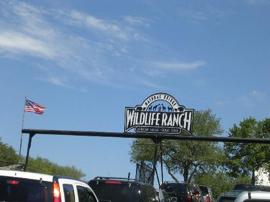 天然桥野生动物牧场-圣安东尼奥市必去景点