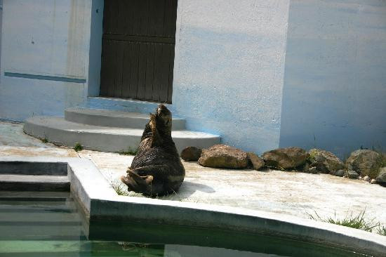 旧金山动物园-旧金山必去景点