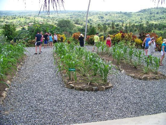 Punta Cana Excursions-蓬塔卡纳必去景点