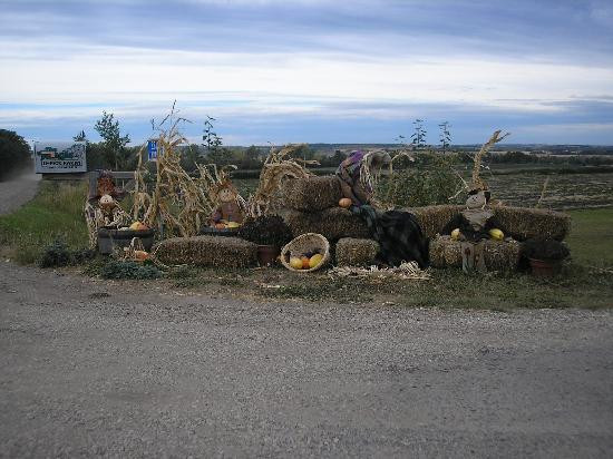 丛林农场-红鹿市必去景点