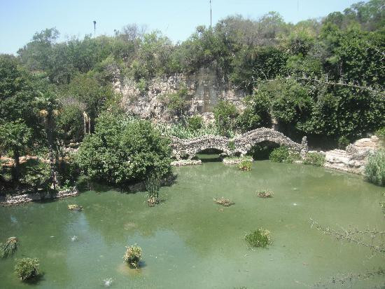日本茶园-圣安东尼奥市必去景点