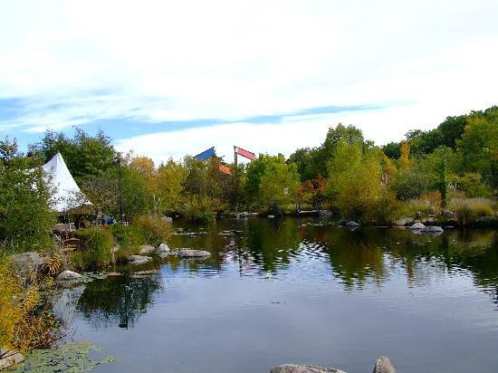 ABQ BioPark Botanic Garden-阿尔伯克基必去景点