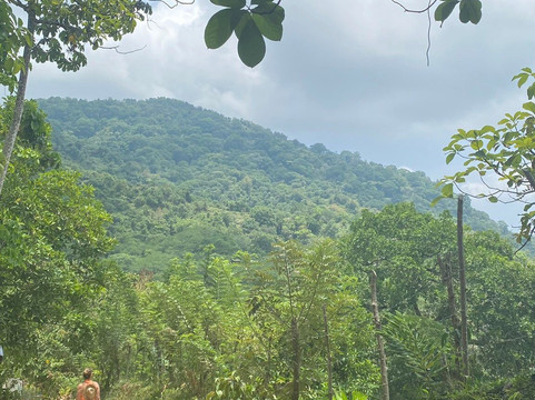 Minca Glamping主图