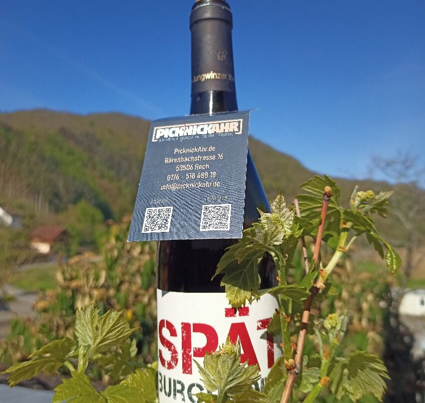 PicknickAhr-Rech必去景点