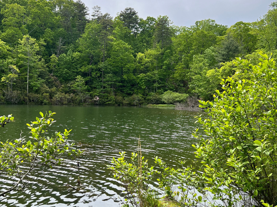 Country Hideaway主图