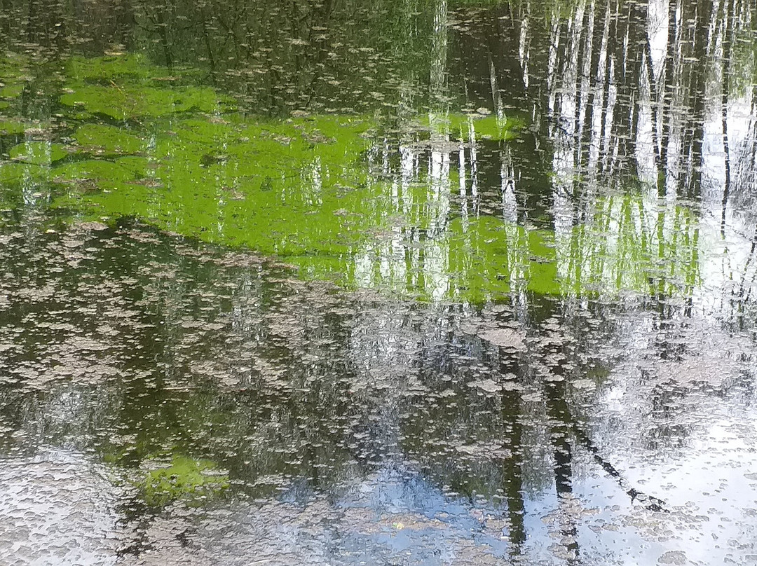 Niebieskie Zrodla Nature Reserve-Tomaszow Mazowiecki必去景点