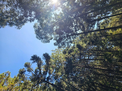 JM Expedições-卡内拉必去景点