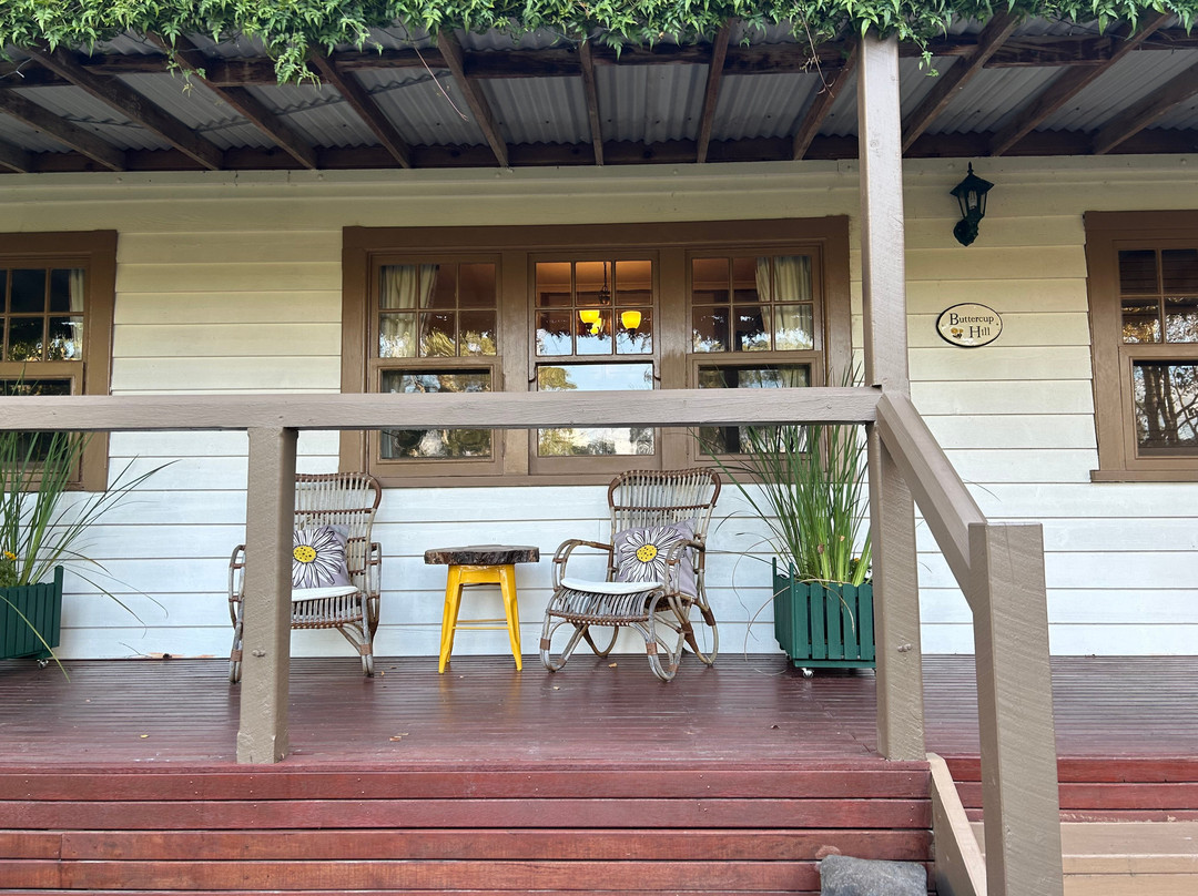 Buttercup Hill主图