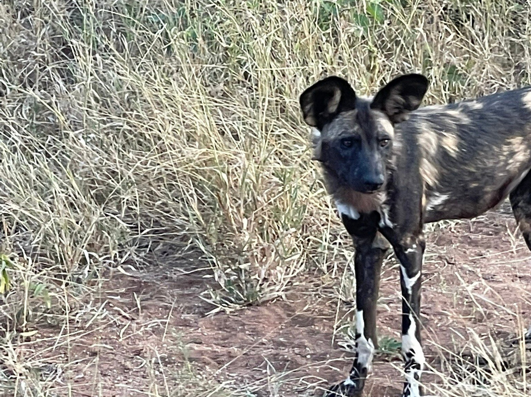 Nandzana Safaris-伐拉博瓦必去景点