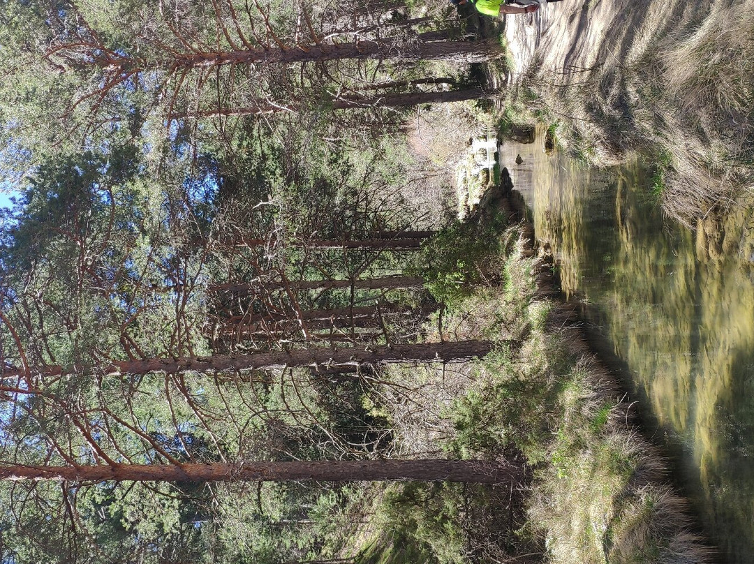 Meson Del Gallo主图