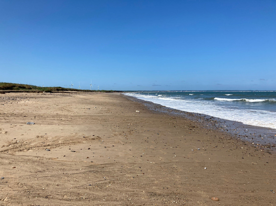 Barmston Beach景点图片