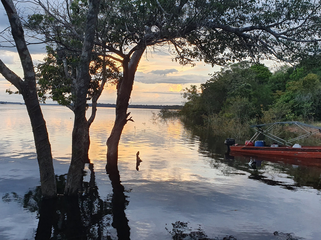 Amazon Green Island tour-Novo Airao必去景点