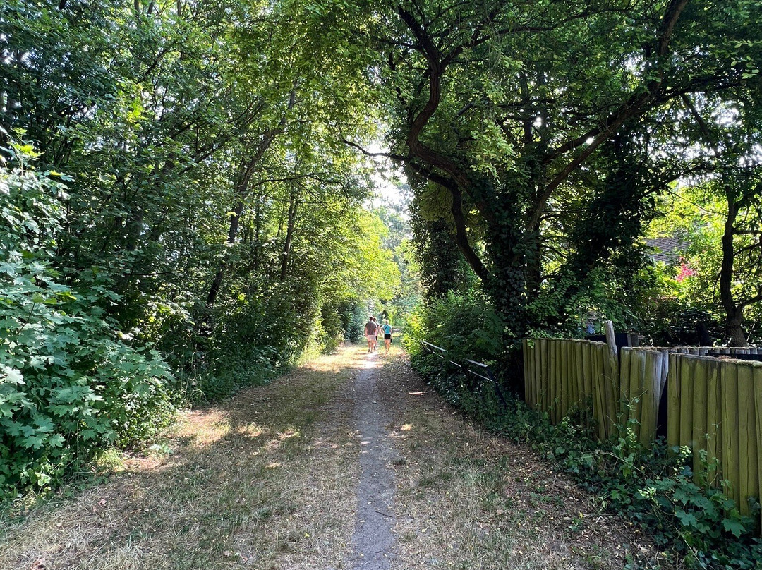 Hotel Gaestehaus Hochmann主图