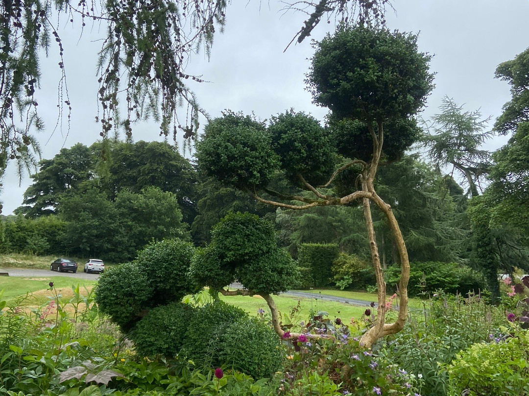 June Blake's Garden-Blessington必去景点