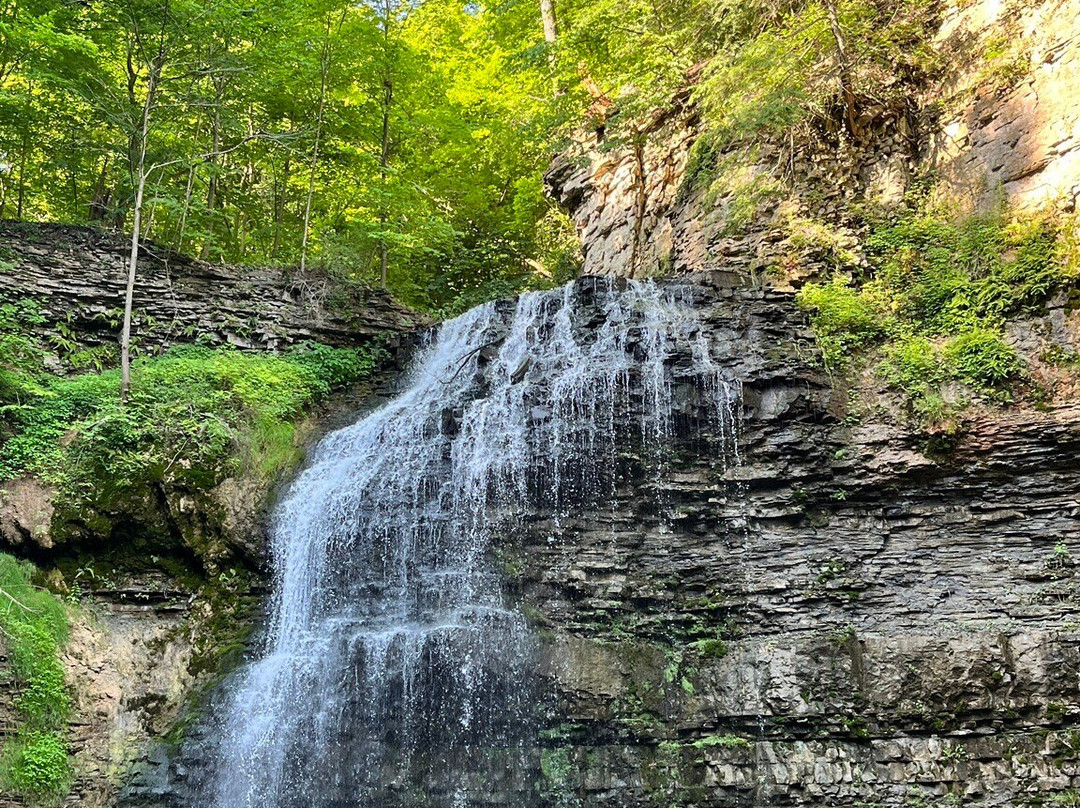 Tiffany Falls Conservation Area-安卡斯特必去景点