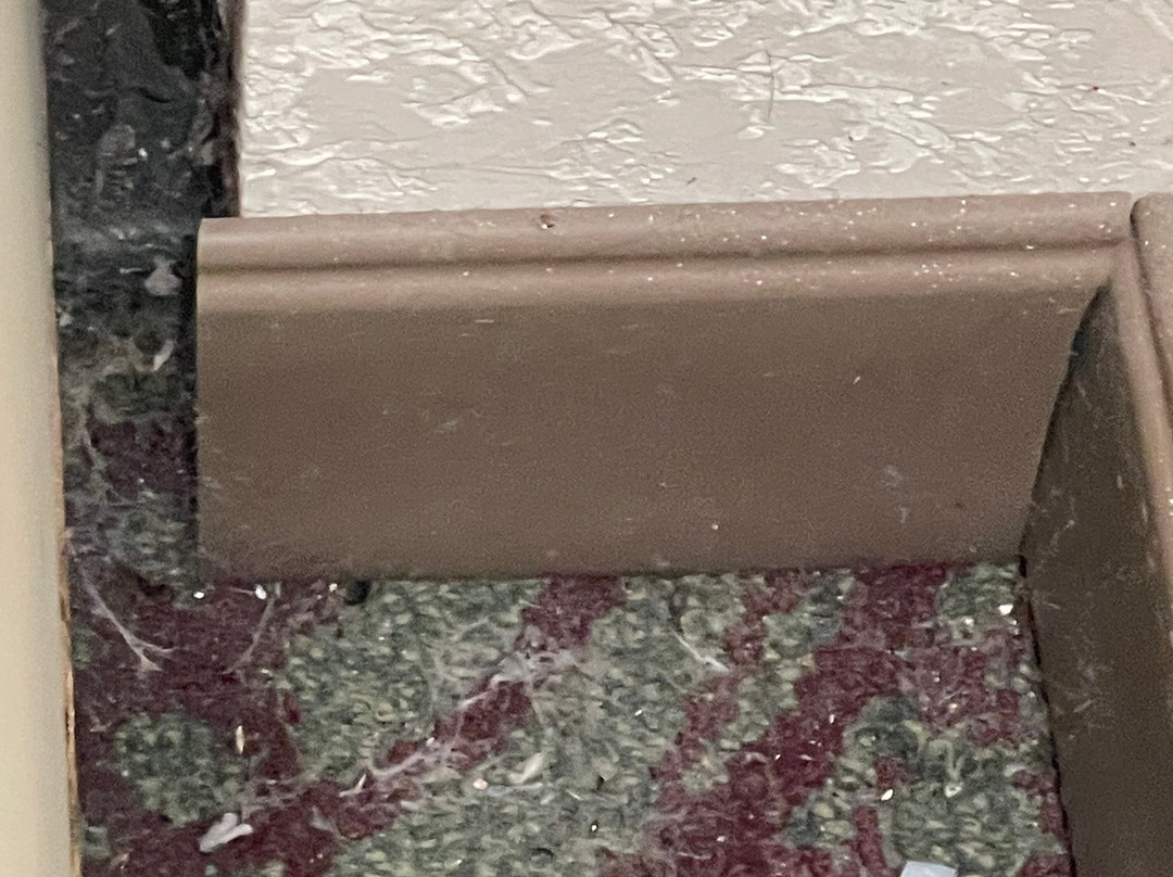 Hampton Inn Debary Deltona主图