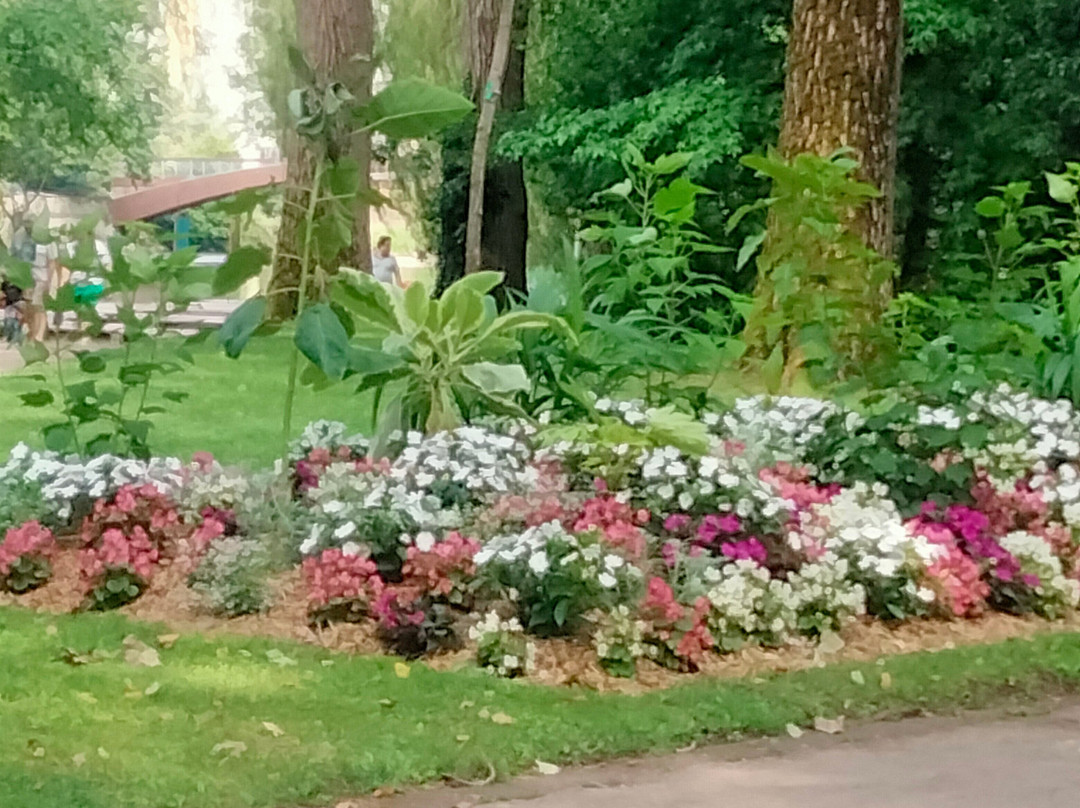 Parc Près la Rose景点图片