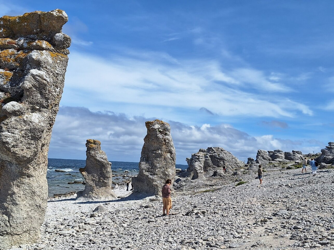 Langhammars Sea Stack Field-Faro必去景点