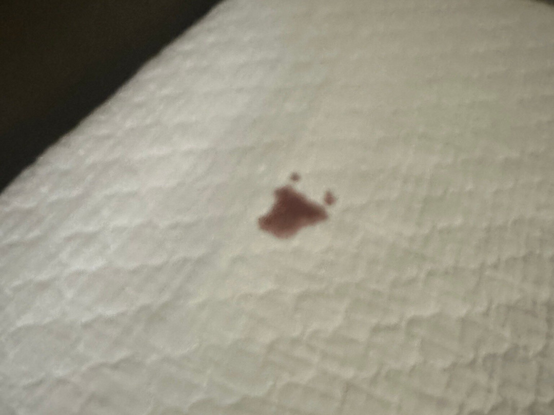 Candlewood Suites Smyrna - Nashville by IHG主图