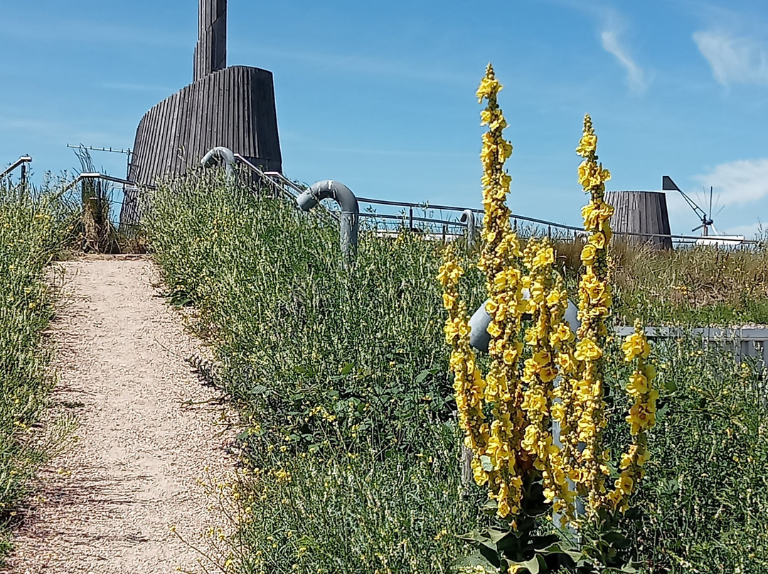 Uitkijkpunt Groene Strand Oostvoorne-Oostvoorne必去景点