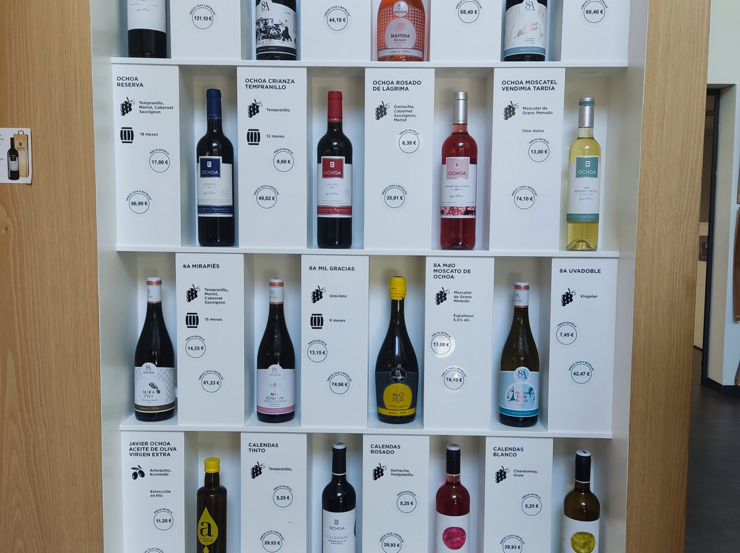 Bodegas Ochoa-Olite必去景点