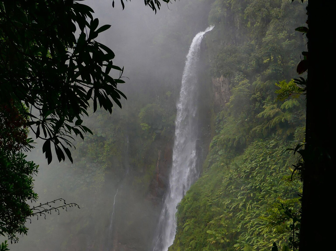 Blue Falls of Costa Rica景点图片