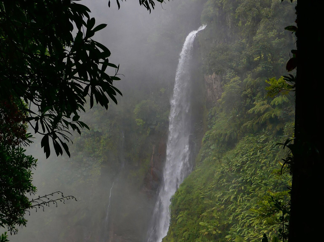 Blue Falls of Costa Rica景点图片