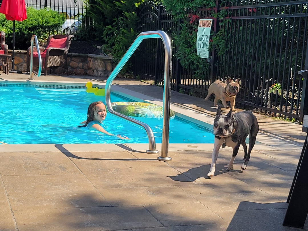 Starlight Lodge Cape Cod主图