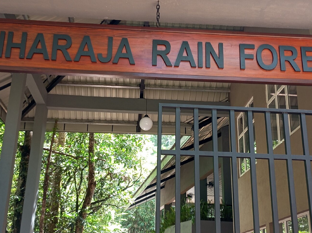 Explore Sinharaja Rain Forest Tours景点图片