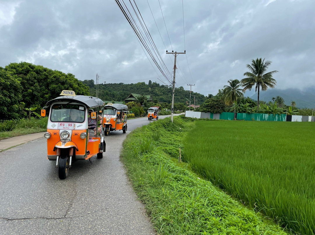 The Tuk Tuk Club景点图片