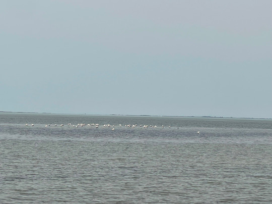 马斯德派城堡连锁酒店主图