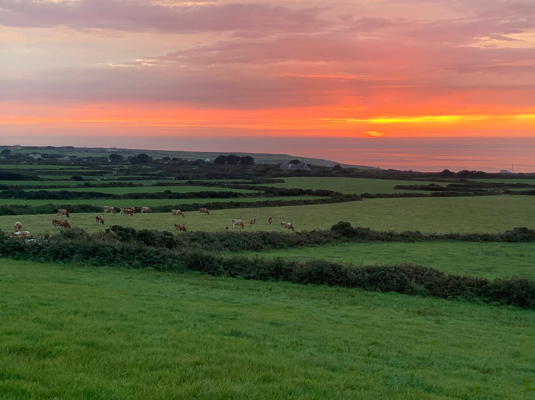 Tregeraint House主图