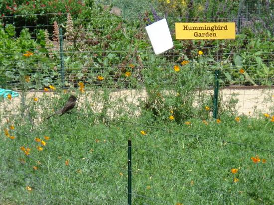 Shipley Nature Center-亨廷顿海滩必去景点