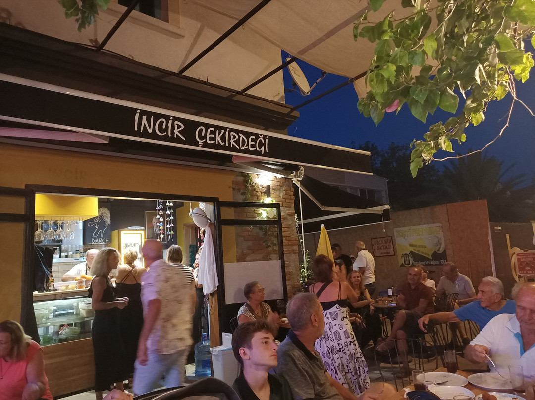 Incir Cekirdegi