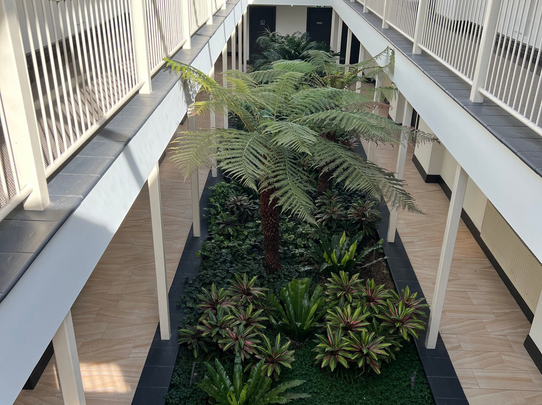 胡椒玛诺屋主图