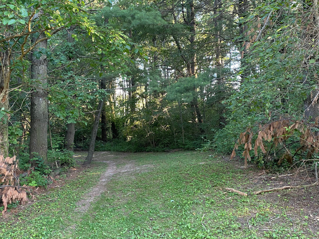 Wildcat Den State Park景点图片