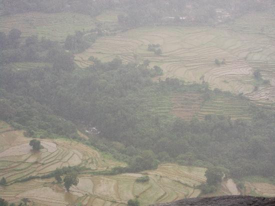 Knuckles Conservation Forest-Kandy District必去景点