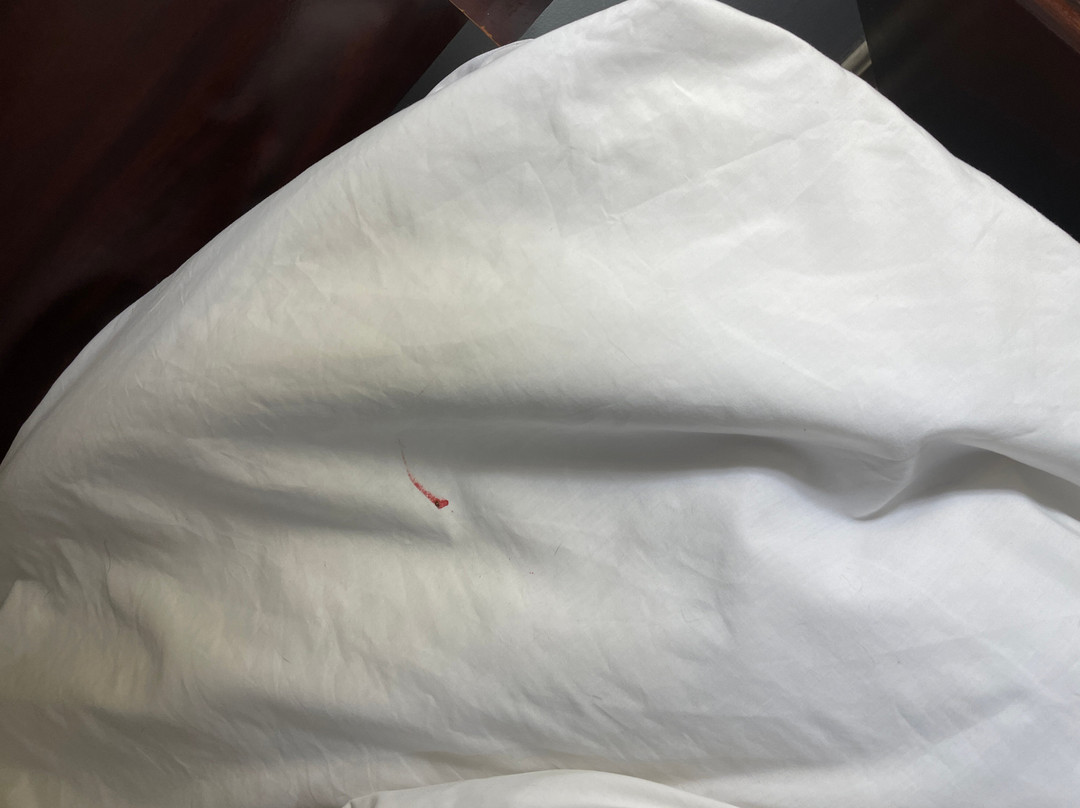 马洞汽车旅馆主图