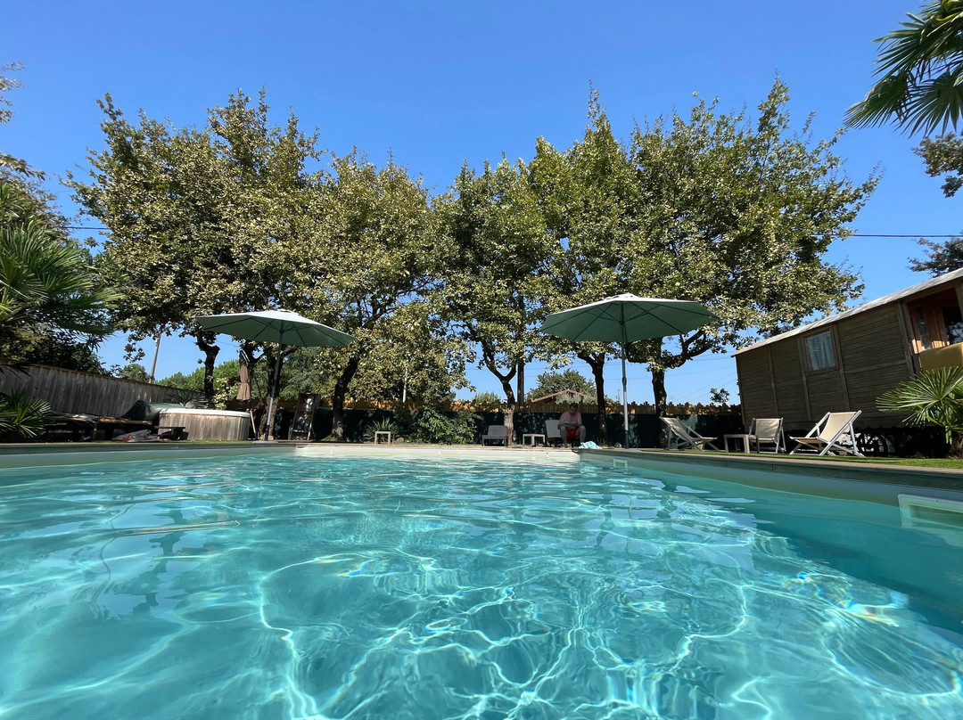 Villa Herbert主图