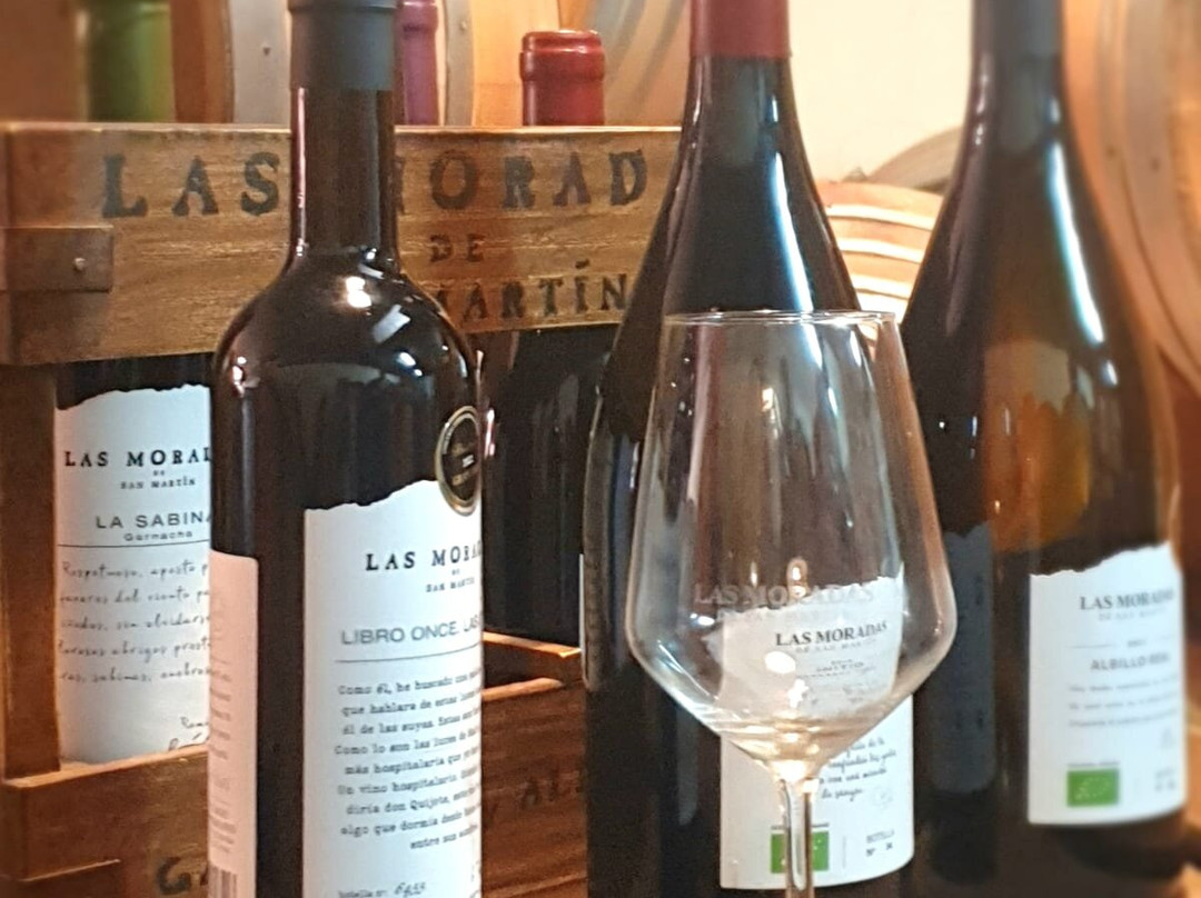 Bodega Las Moradas de San Martin景点图片