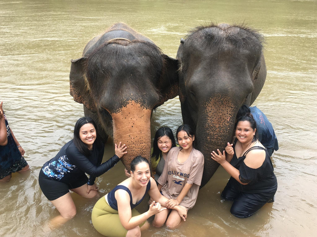 Elephants' Home & Nature景点图片