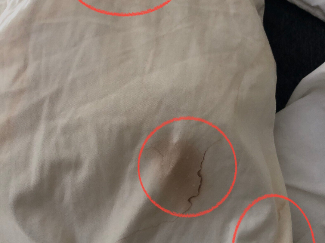 Riddersviks Events & Conference center主图