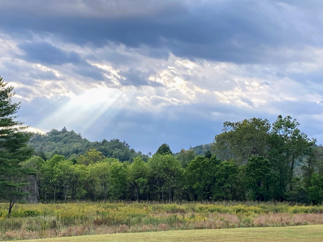 Deerwoode Reserve主图