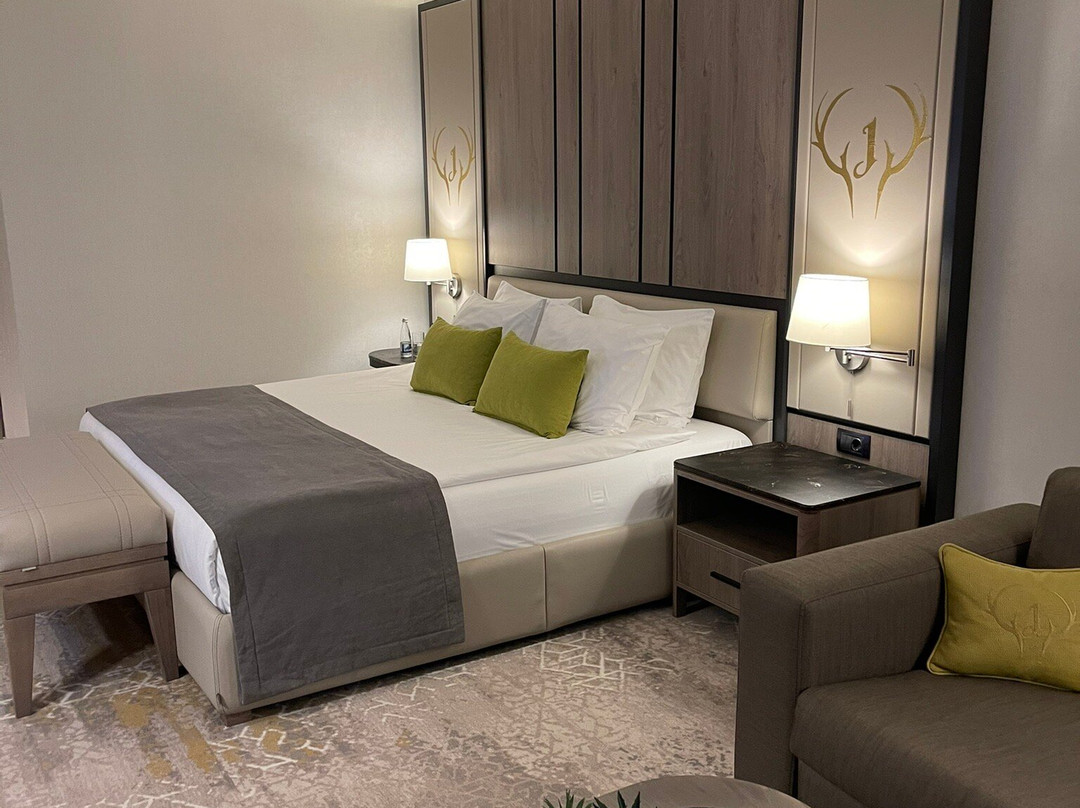 Hotel Jägerhof主图